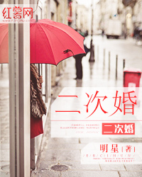 二次婚