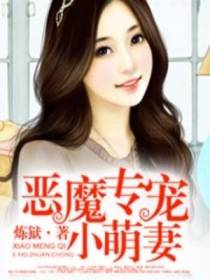 司夜辰叶妙妙