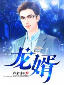 龙婿陈峰