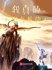 我真的不想当龙骑士