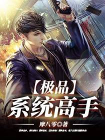 叶南小说