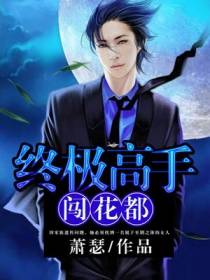 终极高手闯花都萧云
