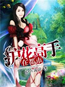 护花高手在都市乔小乔
