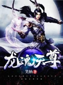 苏洛小说