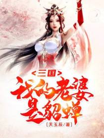 曹冲小说