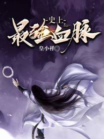 张兮小说