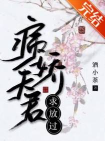 宋云锦箫澈