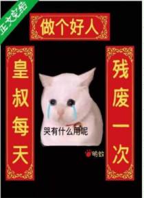 秦妗卫岐辛