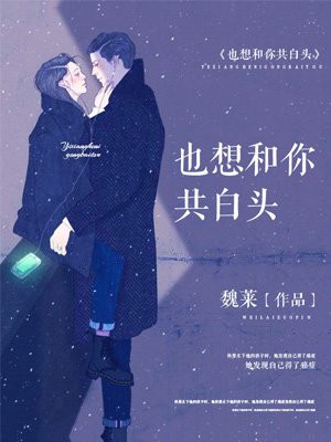 也想和你共白头