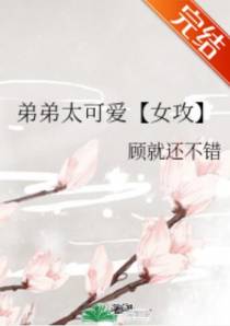 顾晚知丁诺一
