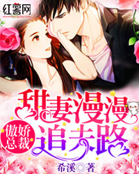 甜妻漫漫追夫路沈玥
