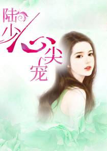 陆少心尖宠