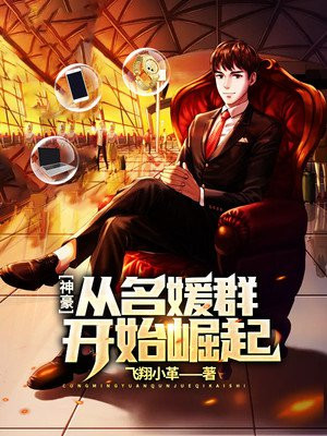 林风小说