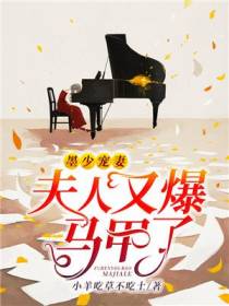 墨少宠妻叶蓁墨千寒