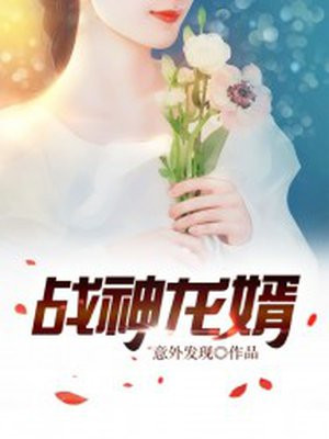 龙婿林枫韩倩