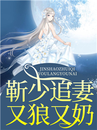 靳少追妻又狼又奶