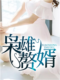 枭雄赘婿