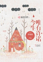 今生唯有许诺