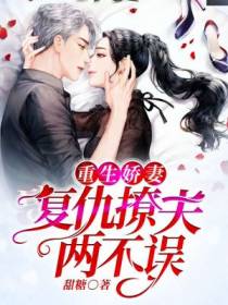 齐星辰傅沉渊