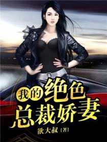 我的绝色总裁娇妻王文
