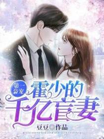 霍少的千亿盲妻乔安霍诚洲