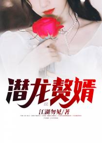 潜龙赘婿陈述宋清澜