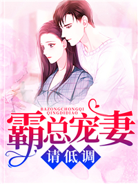 霸总宠妻请低调顾夏陆靳北