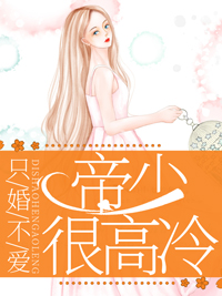 只婚不爱：帝少很高冷