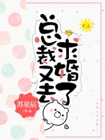 苏星辰秦夜爵