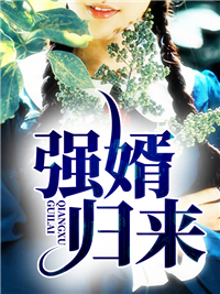强婿归来林帆