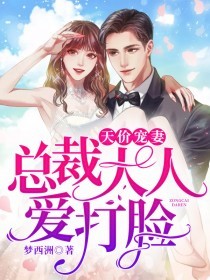 天价宠妻叶琛孟小晚
