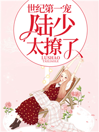 陆少太撩了白葭陆言遇