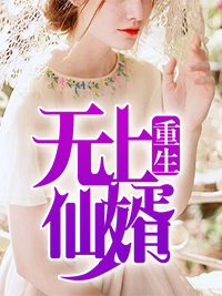 重生无上仙婿沐云