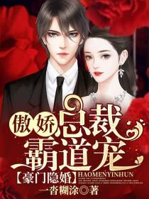 豪门隐婚慕锦厉沭司