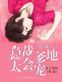 一胎双宝司雪梨庄臣