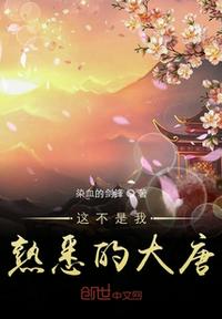 穿越大唐陈方
