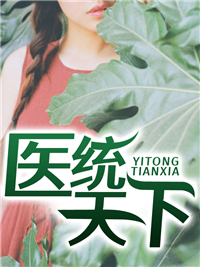 医统天下叶枫
