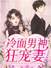 冷面男神狂宠妻宋锦书厉卿川
