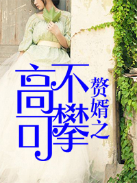叶辰秦洛雪赘婿之高不可攀