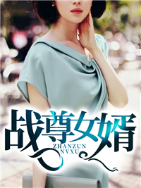 战尊女婿沈北