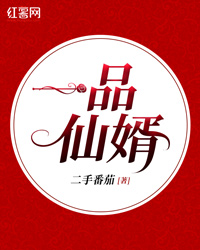 一品仙婿(下架-新书-cn测试)
