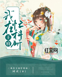 我在王府忙科研