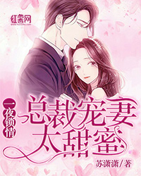 总裁宠妻太甜蜜莫宛溪贺煜城
