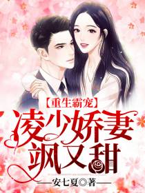 凌少娇妻飒又甜夏安安凌南辰