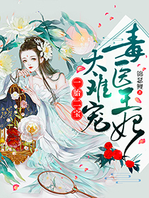 一胎二宝苏浅箫晏