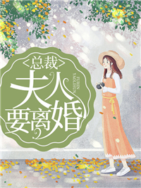 总裁夫人要离婚战少胤宋画意