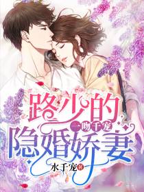 路少的隐婚娇妻叶千宠路璟修