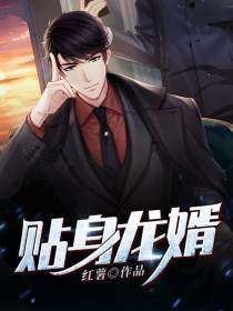 贴身龙婿江峰王柔