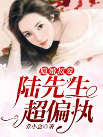 隐婚掠爱乔念陆执