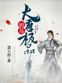 大唐好相公叶小天长乐公主